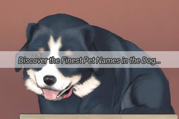 Discover the Finest Pet Names in the Doggo Fortune Directory A TailWagging Journey